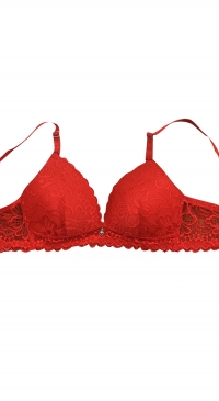 Red bra triangle shape